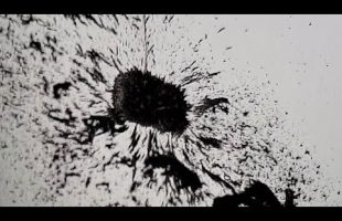 Magnetic Field Lines #shorts