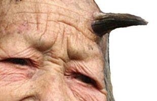 REAL Human HORNS! … and more REAL WORLD WTFs