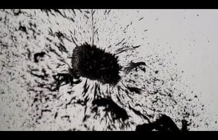 Magnetic Field Lines #shorts